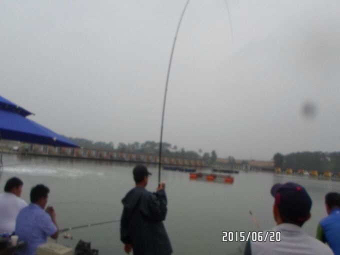ٹ̱_SAM_0045.JPG