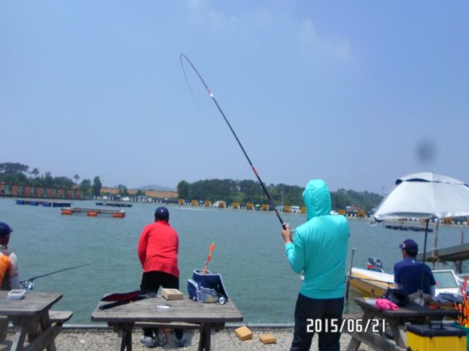 ٹ̱_SAM_0048.JPG