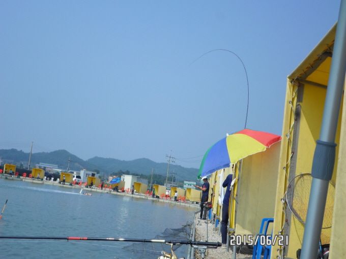 ٹ̱_SAM_0054.JPG