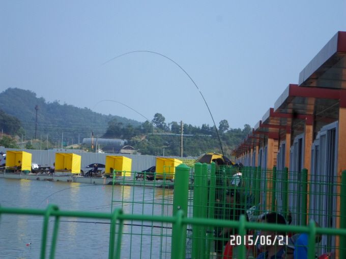 ٹ̱_SAM_0072.JPG