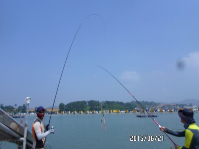 ٹ̱_SAM_0044.JPG