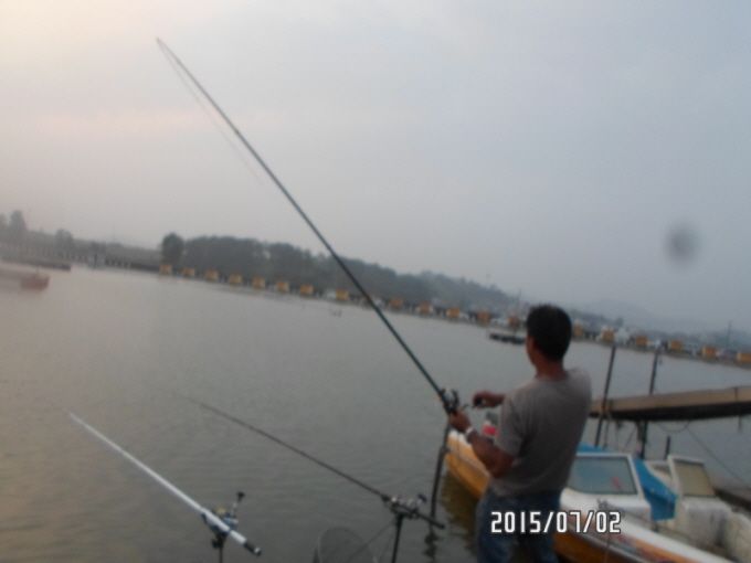 ٹ̱_SAM_0033.JPG