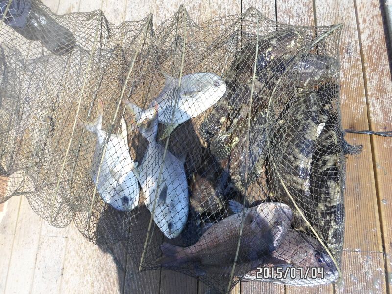 �ٹ̱�_SAM_0044.JPG