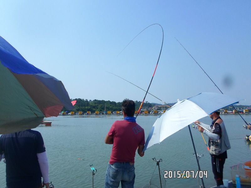 �ٹ̱�_SAM_0051.JPG