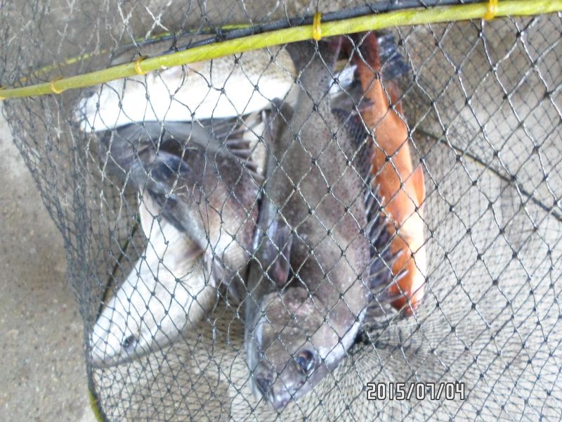 �ٹ̱�_SAM_0053.JPG
