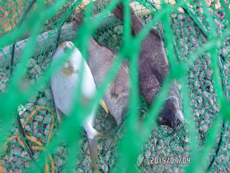 �ٹ̱�_SAM_0077.JPG