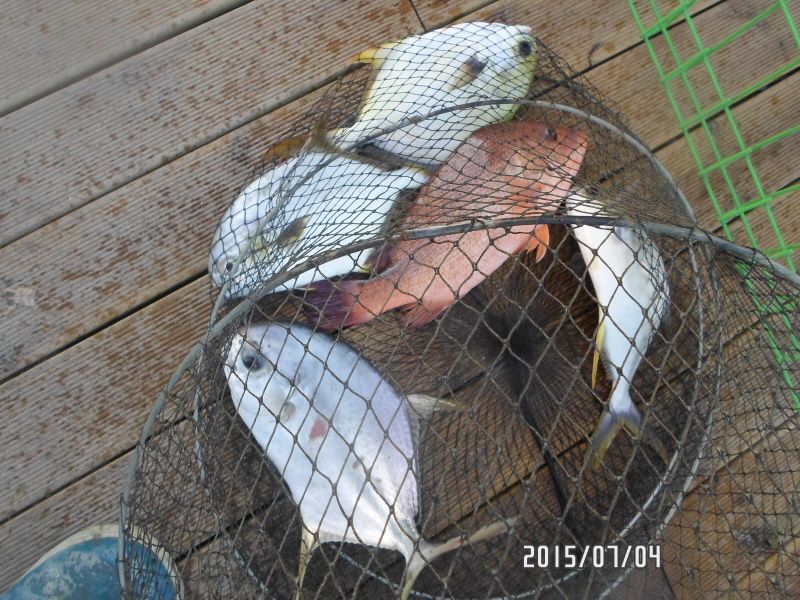 �ٹ̱�_SAM_0084.JPG