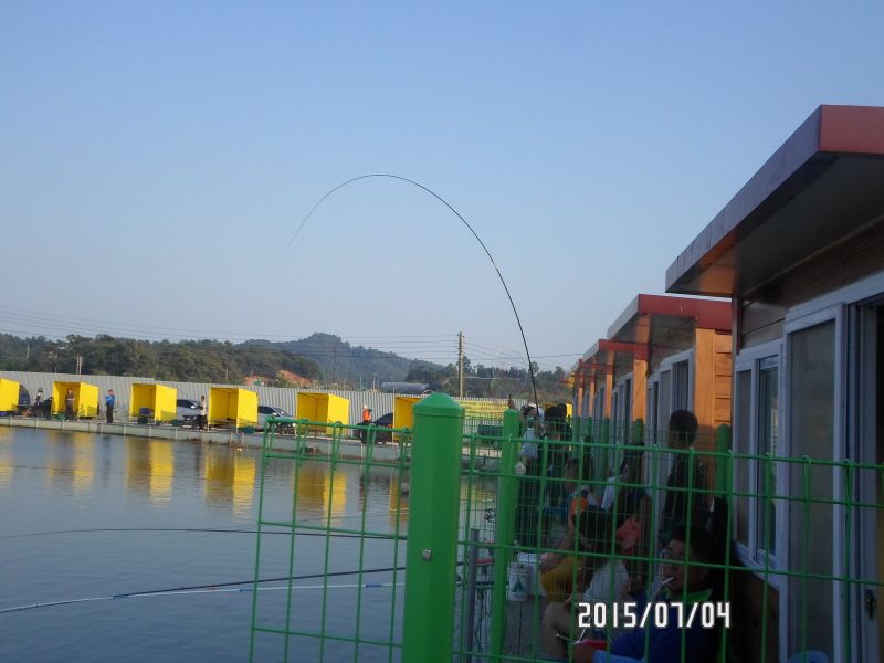 �ٹ̱�_SAM_0087.JPG