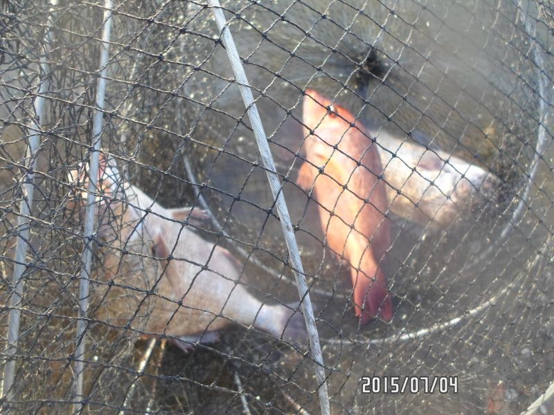�ٹ̱�_SAM_0093.JPG