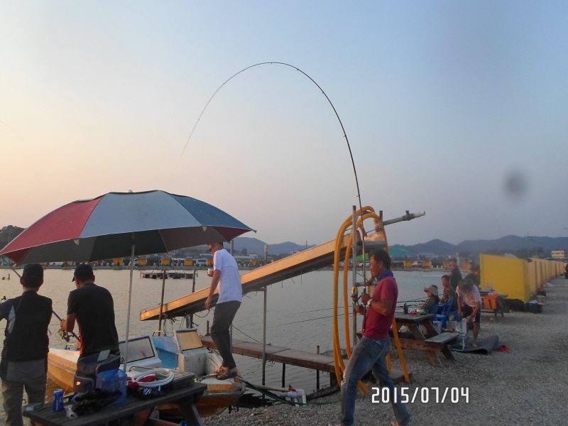 �ٹ̱�_SAM_0095.JPG