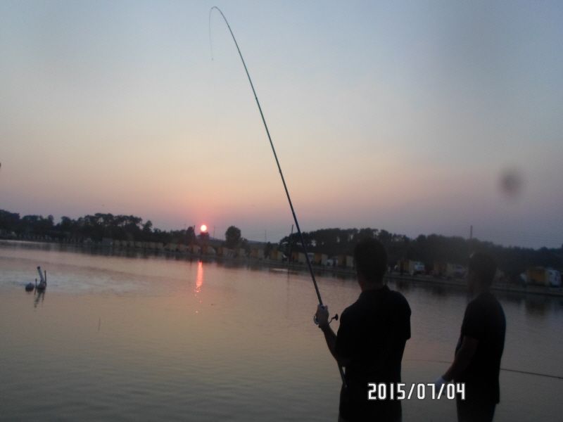 �ٹ̱�_SAM_0098.JPG
