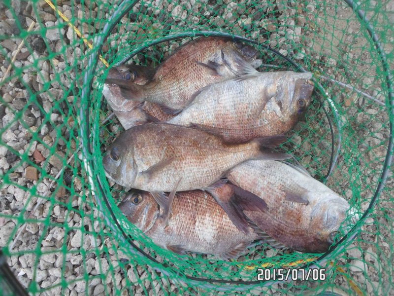 �ٹ̱�_SAM_0040.JPG
