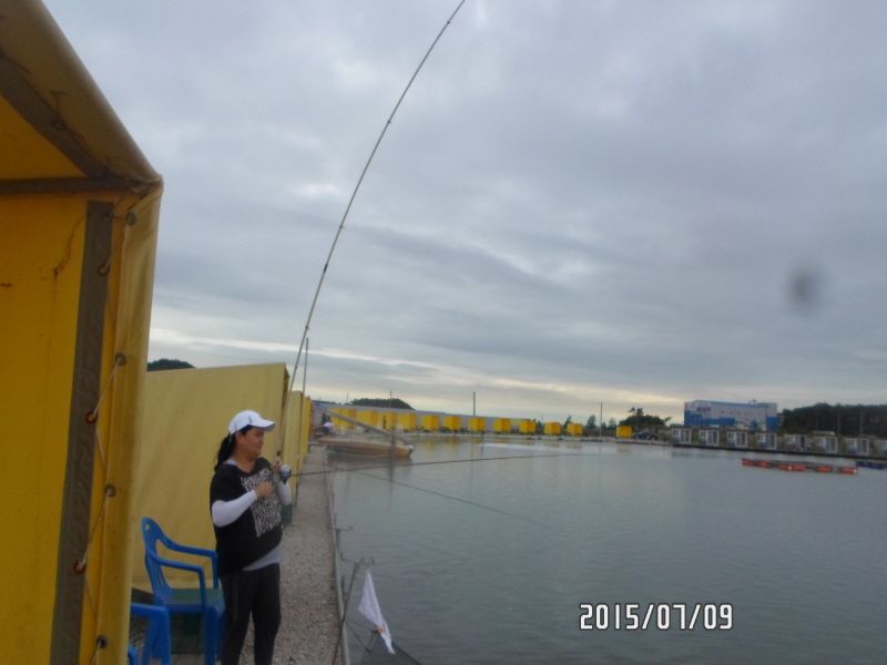 �ٹ̱�_SAM_0026.JPG