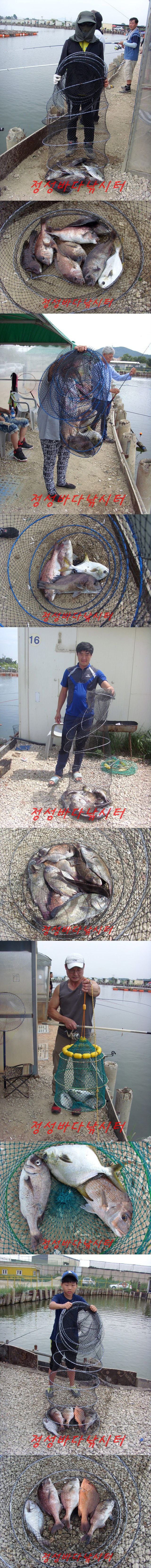 55555.jpg