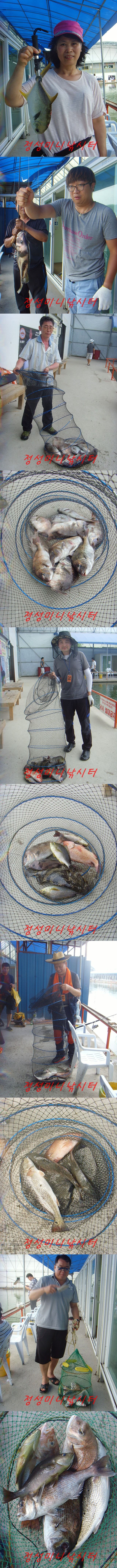 222.jpg