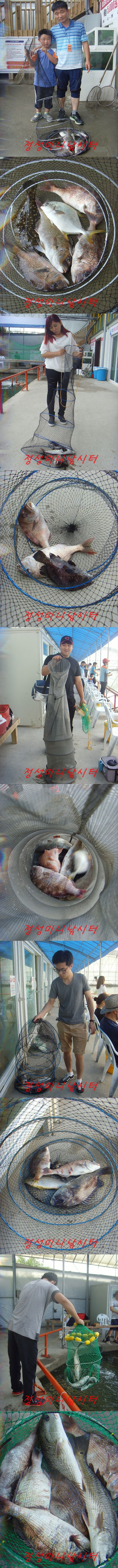 444.jpg