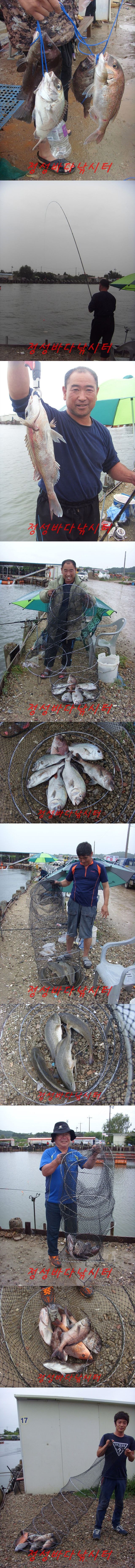 66666.jpg