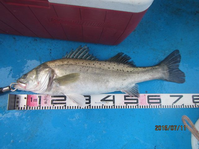 IMG_3417.JPG