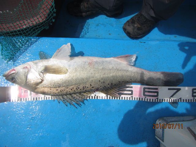 IMG_3449.JPG