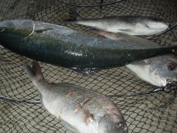 ũ�⺯ȯ_SDC14758.JPG
