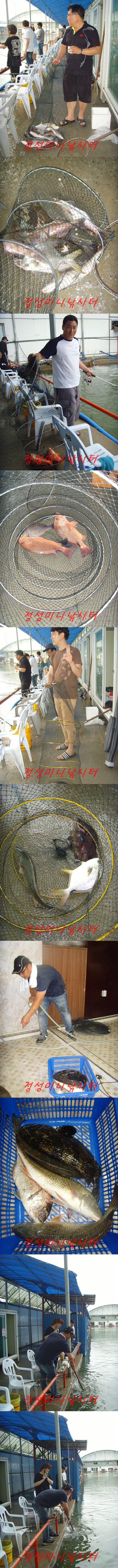 555.jpg