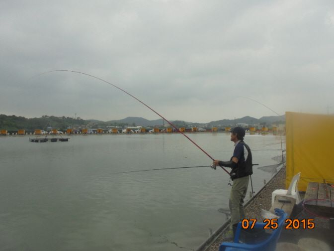 �ٹ̱�_DSC00987.JPG