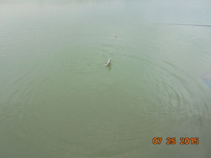 �ٹ̱�_DSC00988.JPG