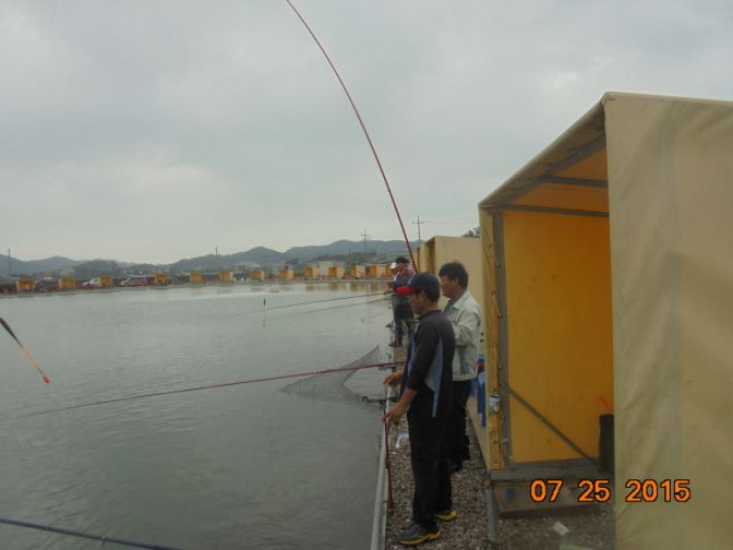 �ٹ̱�_DSC00945.JPG