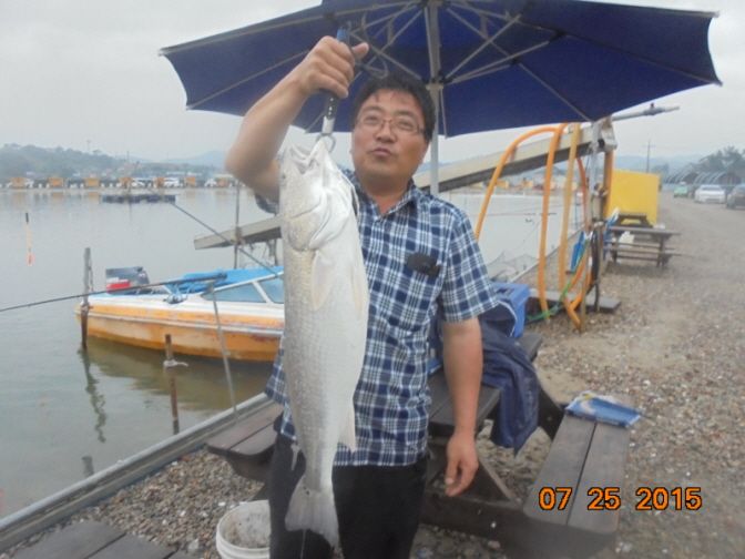 �ٹ̱�_DSC00944.JPG
