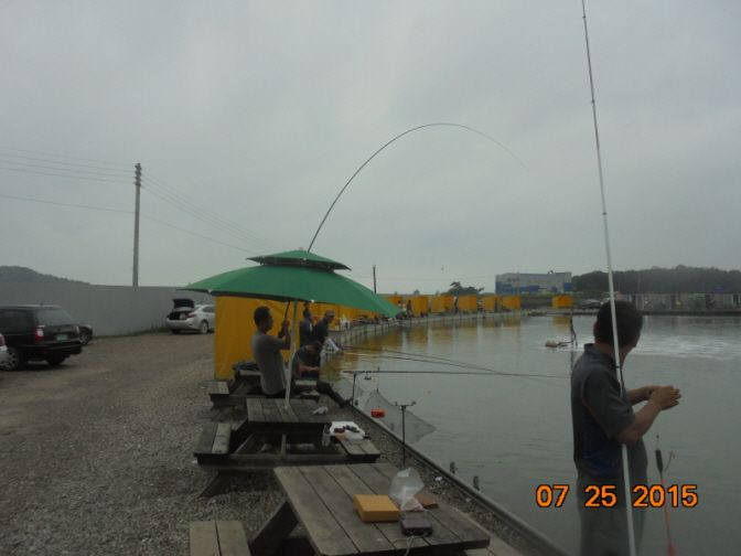 �ٹ̱�_DSC00954.JPG
