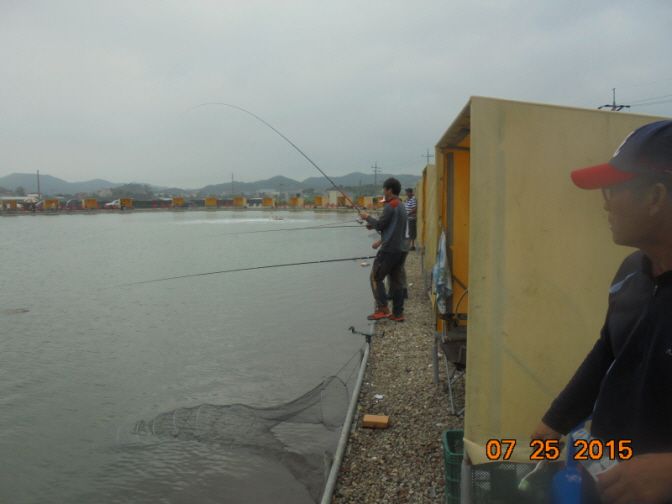 �ٹ̱�_DSC00957.JPG