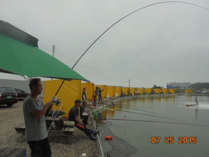 �ٹ̱�_DSC00959.JPG
