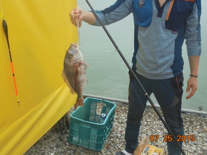 �ٹ̱�_DSC00962.JPG