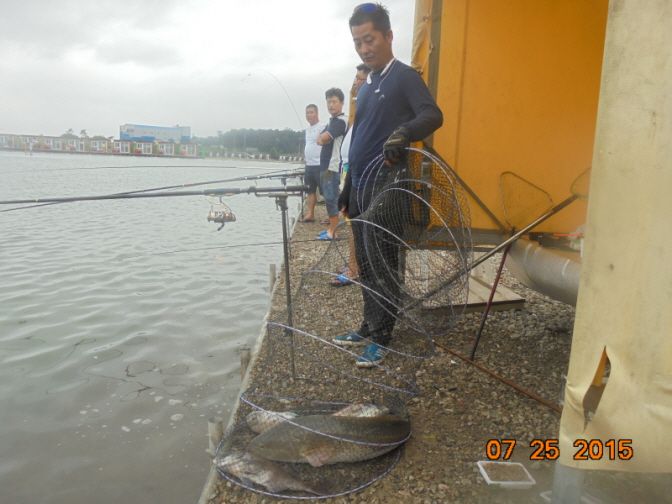 �ٹ̱�_DSC00975.JPG