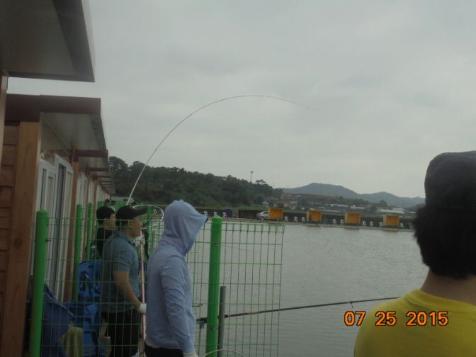 �ٹ̱�_DSC00982.JPG