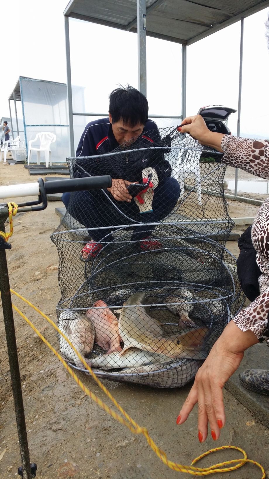 ũ⺯ȯ_20150725_095823.jpg