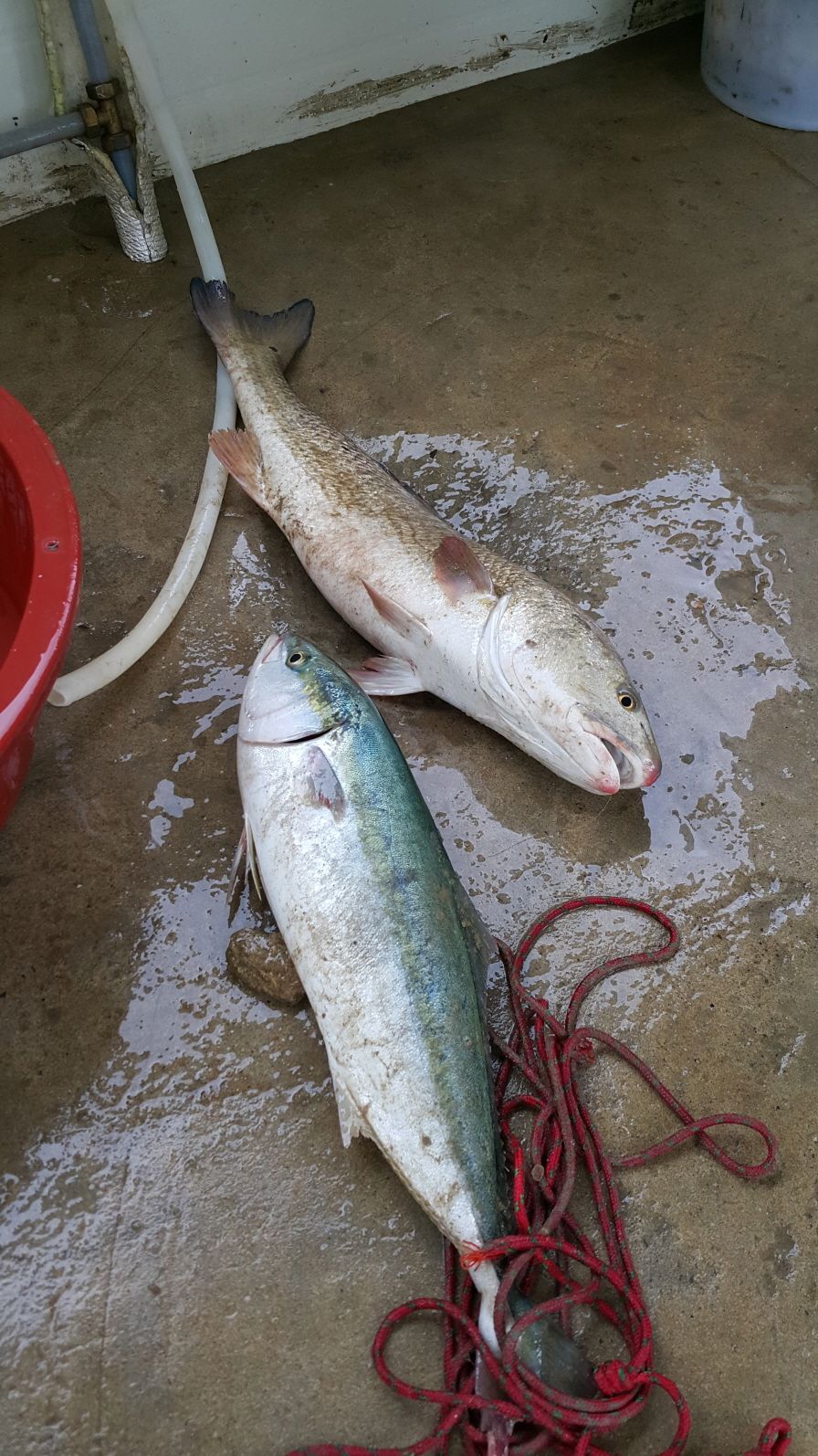 ũ⺯ȯ_20150726_163853.jpg