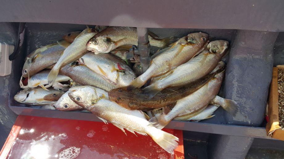 ũ�⺯ȯ_20150726_103759.jpg