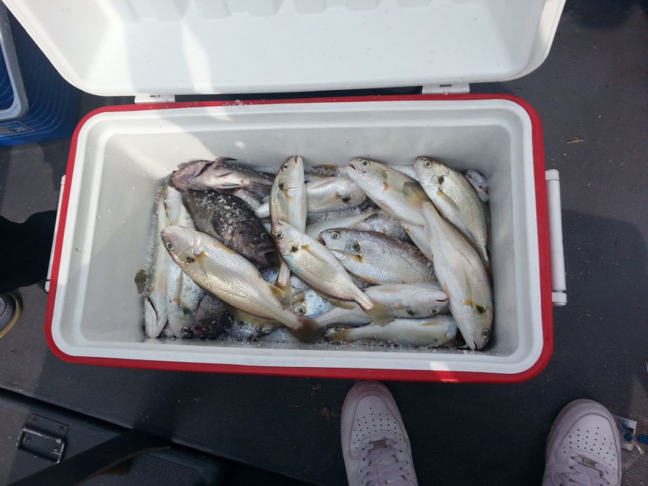 ũ�⺯ȯ_20150728_155546.jpg