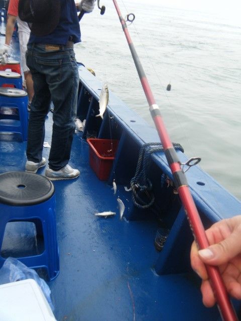 DSCF9810 (480x640).jpg