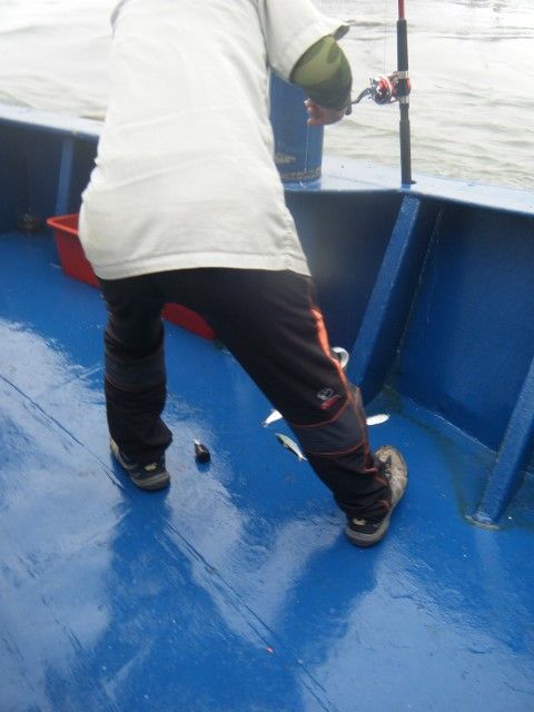 DSCF9812 (480x640).jpg