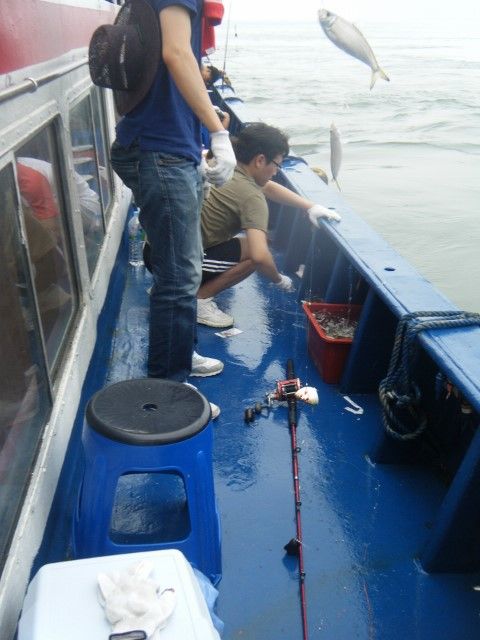 DSCF9813 (480x640).jpg