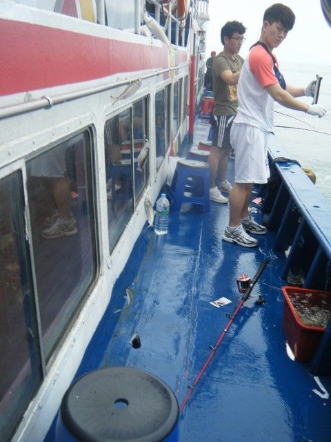 DSCF9814 (480x640).jpg