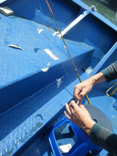 DSCF9825 (480x640).jpg