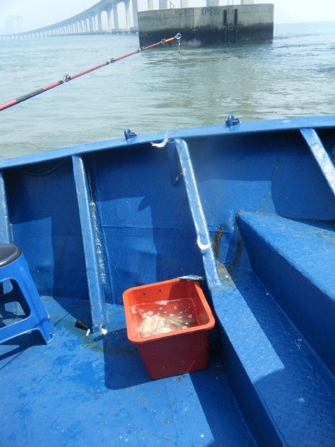 DSCF9824 (480x640).jpg