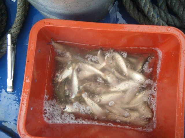 DSCF9830 (480x640).jpg