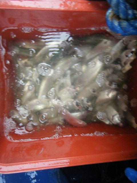 DSCF9834 (480x640).jpg