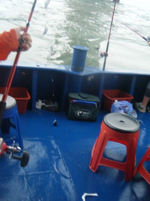 DSCF9833 (480x640).jpg