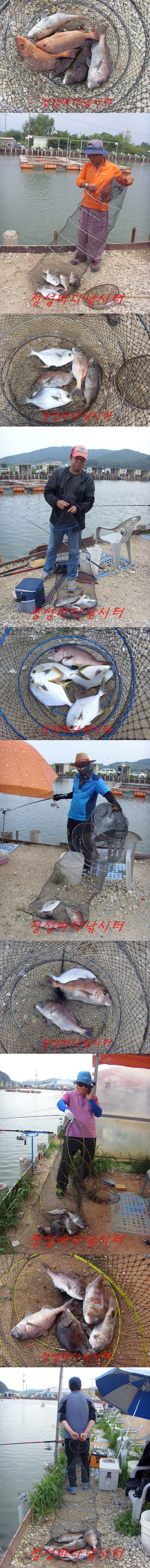 55555.jpg
