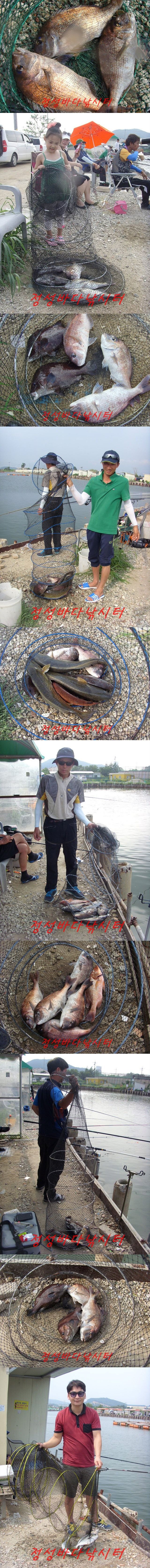 88888.jpg
